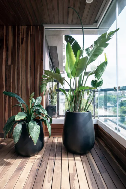 Balcón moderno con plantas grandes y pared de listones de madera — proyecto Depto Teodoro Garcia, por Ayelen Mayer Arquitectura, en Buenos Aires